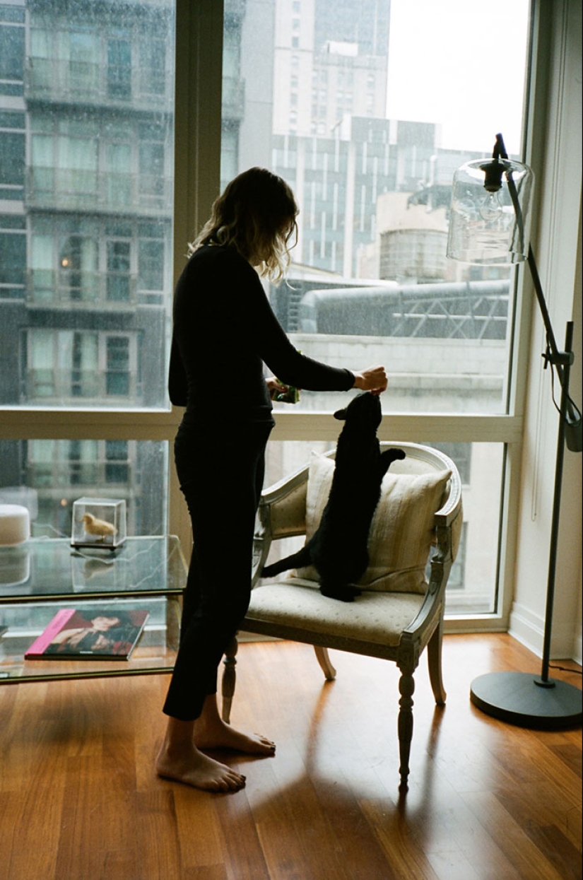 Girl, sheltered homeless cats