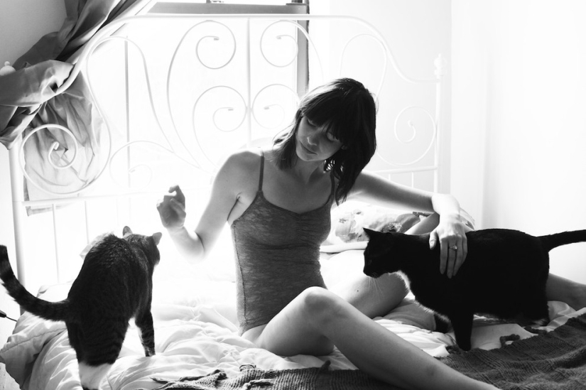 Girl, sheltered homeless cats