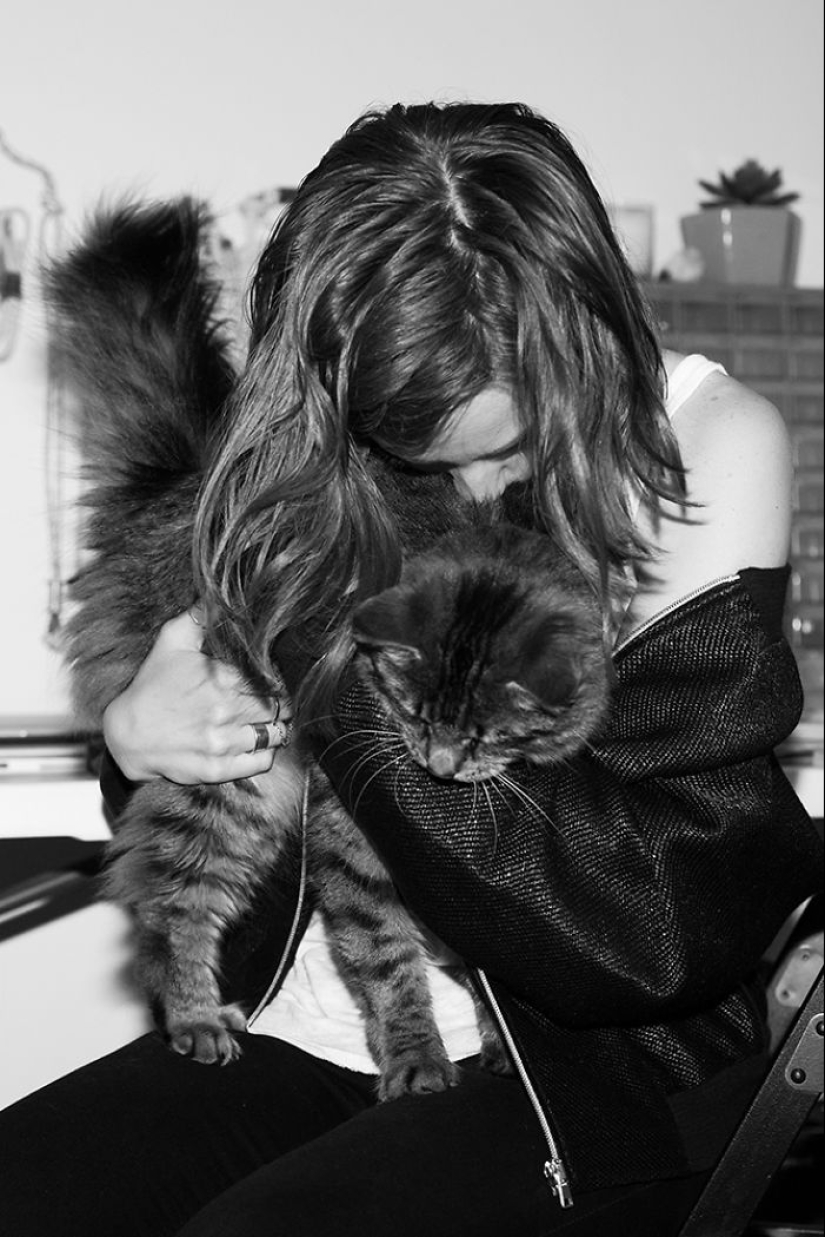 Girl, sheltered homeless cats