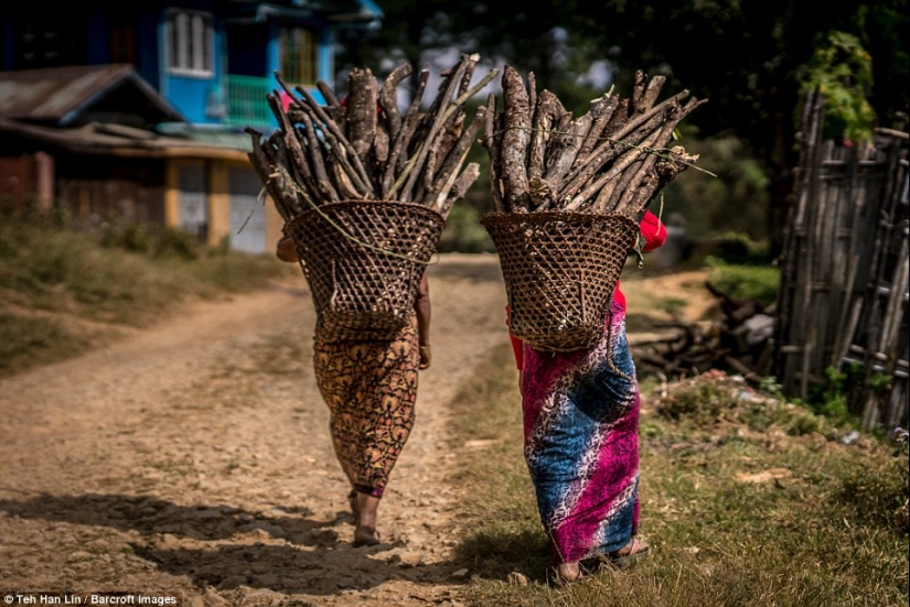 Girls of the Chin people get disfiguring tattoos on their faces so that they are not kidnapped Girls of the Chin people get disfiguring tattoos on their faces so that they are not kidnapped
