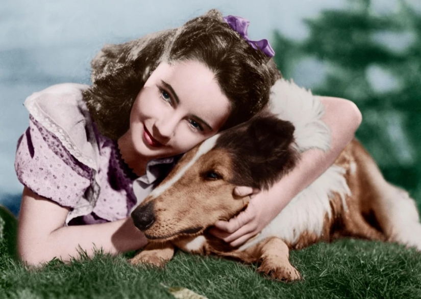 Give me a paw, friend! Tragic fates of animals that were filmed in Hollywood films Give me a paw, friend! Tragic fates of animals that were filmed in Hollywood films