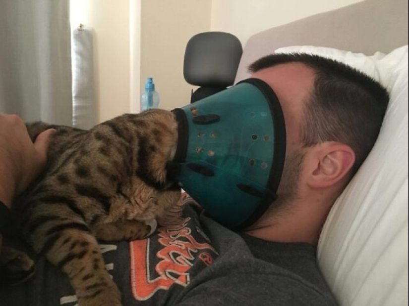 Glitch in the cat matrix: 24 funny photos of cats that are stuck Glitch in the cat matrix: 24 funny photos of cats that are stuck