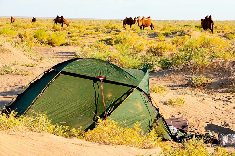 Go, Sarah, go: a traveler from Switzerland walked 16 thousand km and crossed two continents Go, Sarah, go: a traveler from Switzerland walked 16 thousand km and crossed two continents