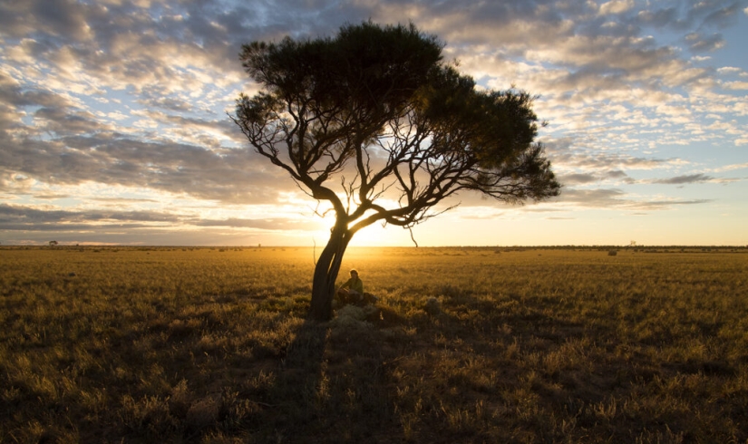 Go, Sarah, go: un viajero de Suiza caminó 16 mil km y cruzó dos continentes