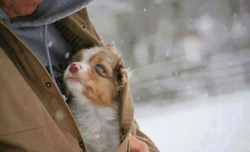 God, help me to be the kind of person my dog thinks I am God, help me to be the kind of person my dog thinks I am