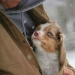God, help me to be the kind of person my dog thinks I am God, help me to be the kind of person my dog thinks I am
