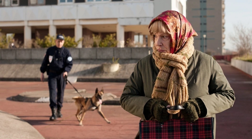 Good French Comedy, which is worth a look: the 19 best pictures