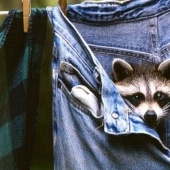 Good news from experts: your jeans do not need to be washed! Good news from experts: your jeans do not need to be washed!