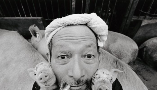 Granjero feliz del cerdo y sus animales domésticos