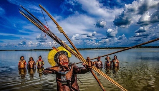 Guardianes de la Amazonía: ¿cómo tribus indígenas en el Brasil de hoy Guardianes de la Amazonía: ¿cómo tribus indígenas en el Brasil de hoy