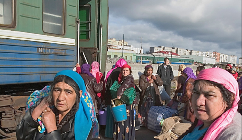 Gypsy happiness: what diseases have nomadic people developed immunity to
