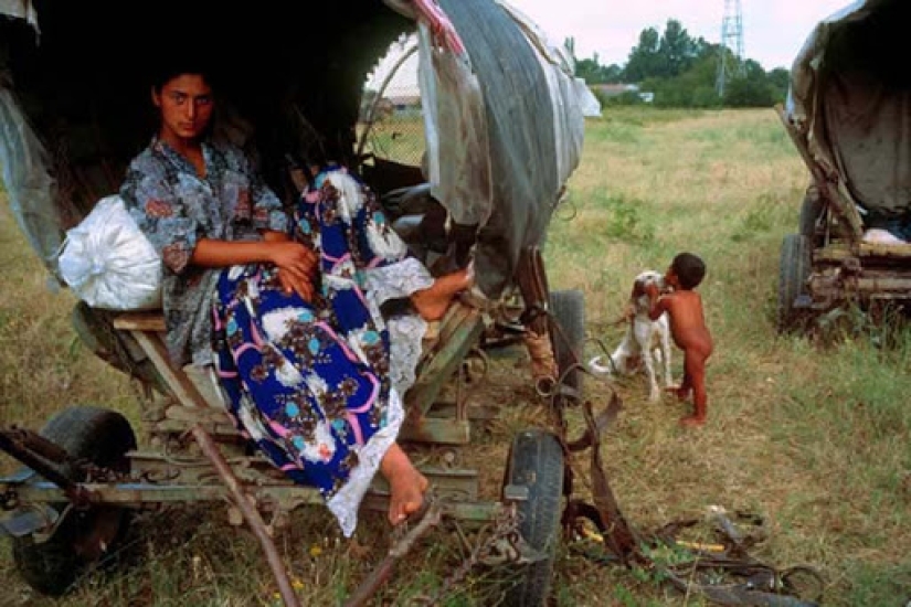 Gypsy happiness: what diseases have nomadic people developed immunity to
