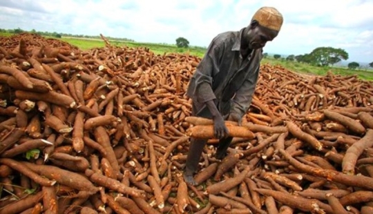 Half a billion people on Earth consume a deadly product Half a billion people on Earth consume a deadly product