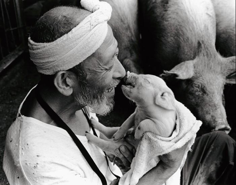 Happy pig farmer and his pets