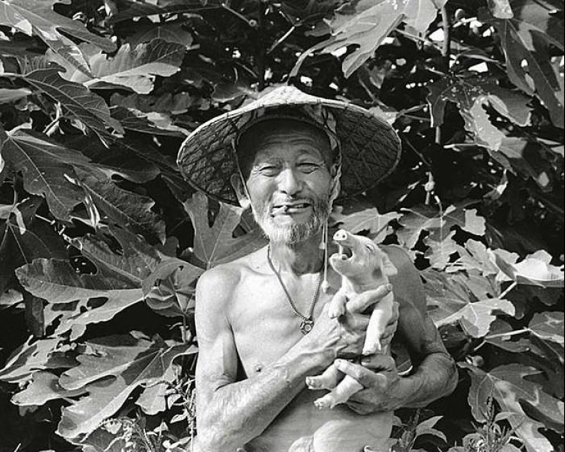 Happy pig farmer and his pets