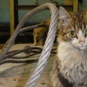 Hard-working cats-workers: they never say that they have legs Hard-working cats-workers: they never say that they have legs