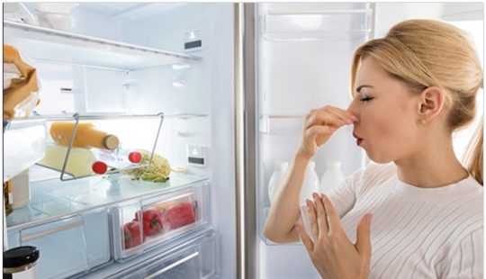 Harmless mold: Which spoiled foods can be safely eaten Harmless mold: Which spoiled foods can be safely eaten