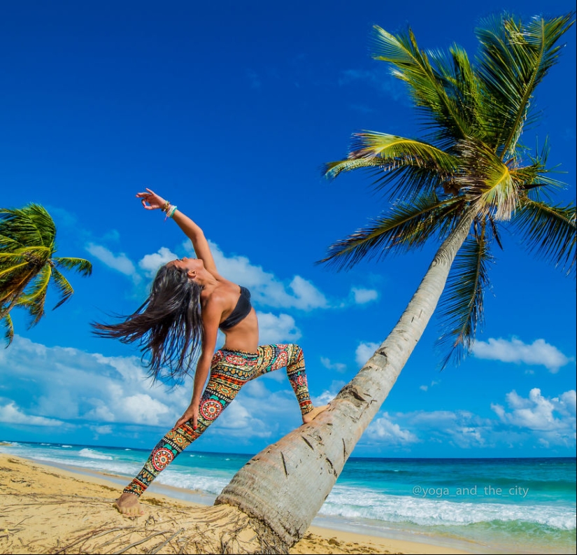 Harmony in the middle of the metropolis: yoga in a big city Harmony in the middle of the metropolis: yoga in a big city