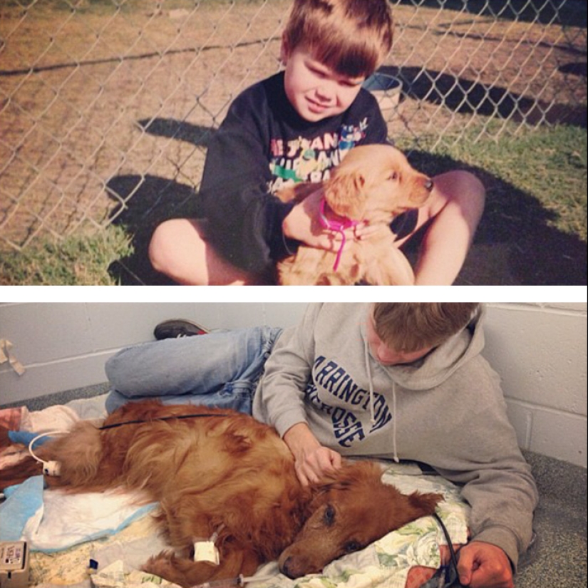 Heart breaks: the first and last photos of the owners with their pets