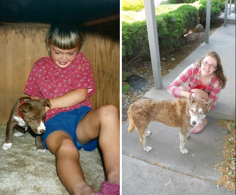 Heart breaks: the first and last photos of the owners with their pets