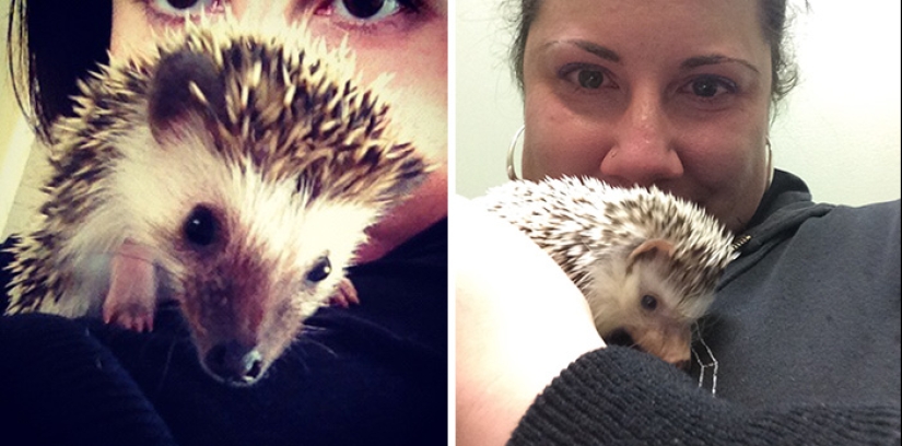 Heart breaks: the first and last photos of the owners with their pets