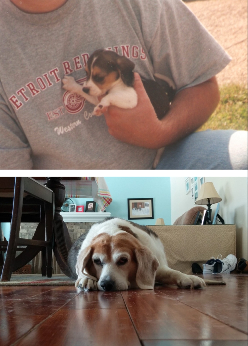 Heart breaks: the first and last photos of the owners with their pets