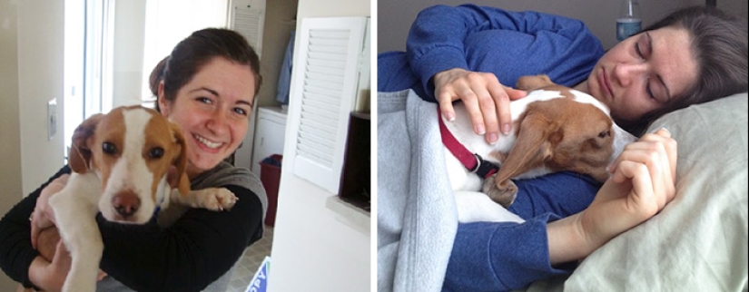 Heart breaks: the first and last photos of the owners with their pets