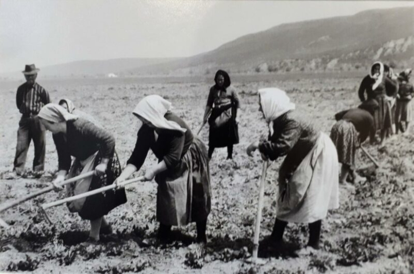 Hermosa Italia de los años 50 y 60 en marcos en blanco y negro de Paolo Di Paolo