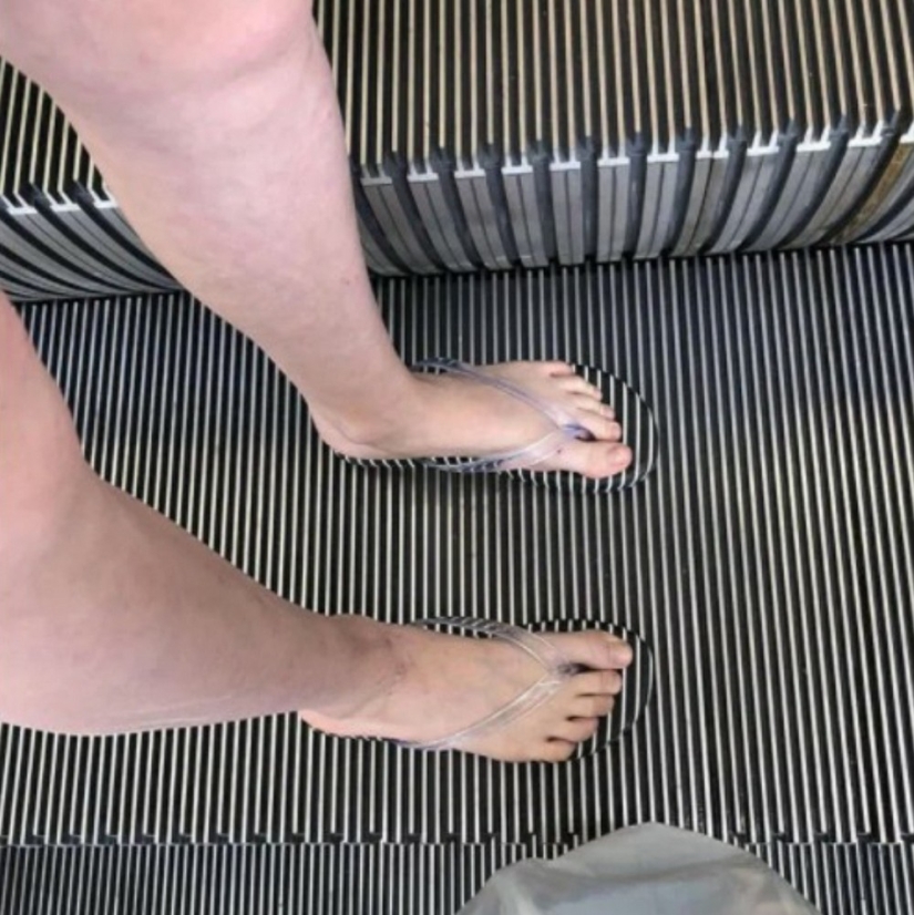 Hide and Seek: 22 Photos That Make You Look Twice Hide and Seek: 22 Photos That Make You Look Twice