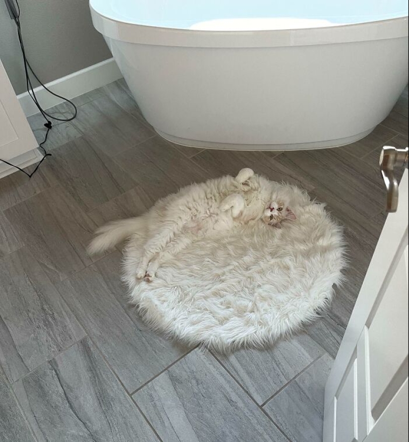 Hide and Seek: 22 Photos That Make You Look Twice Hide and Seek: 22 Photos That Make You Look Twice