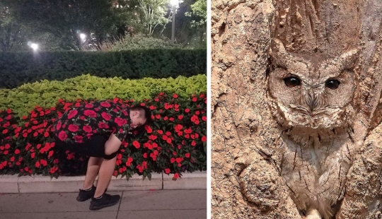 Hide and Seek: 22 Photos That Make You Look Twice