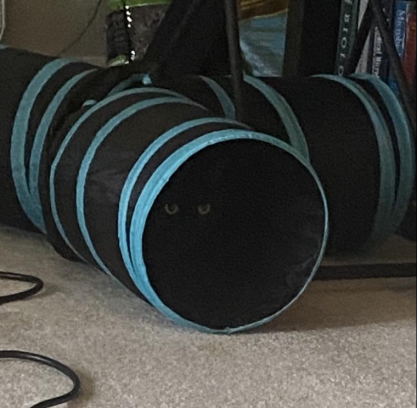 Hide and Seek: 22 Photos That Make You Look Twice Hide and Seek: 22 Photos That Make You Look Twice