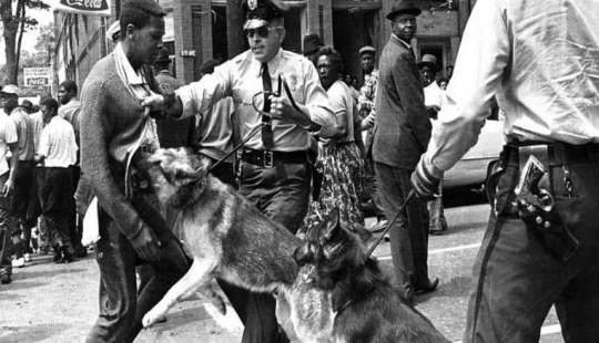 Highlights of African Americans ' struggle for their rights