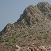 Hindu Dashrath Manjhi - the man who conquered the mountain Hindu Dashrath Manjhi - the man who conquered the mountain