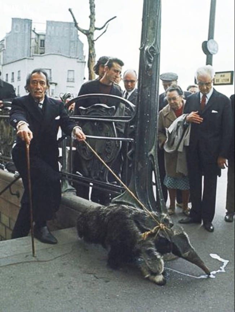 Historical photos that allow you to look at the past from a different angle Historical photos that allow you to look at the past from a different angle