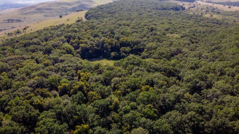 Hoia-Baciu Forest: Why This Place Has a Reputation as the “Romanian Bermuda Triangle”
