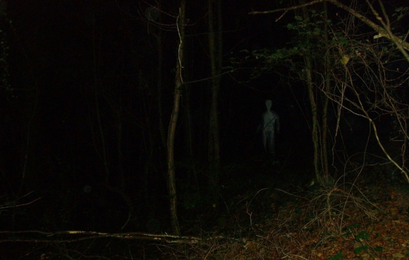 Hoia-Baciu Forest: Why This Place Has a Reputation as the “Romanian Bermuda Triangle”