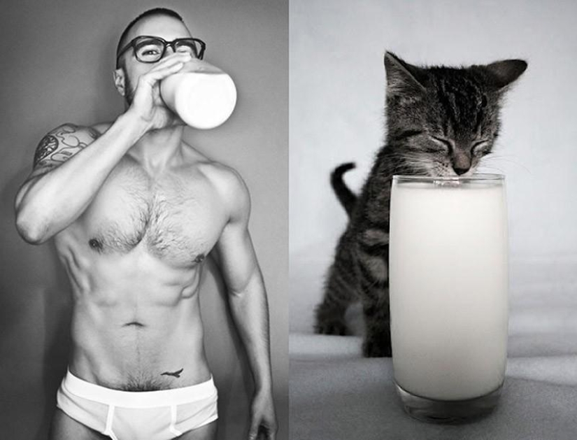 Hombres vs gatos Hombres vs gatos