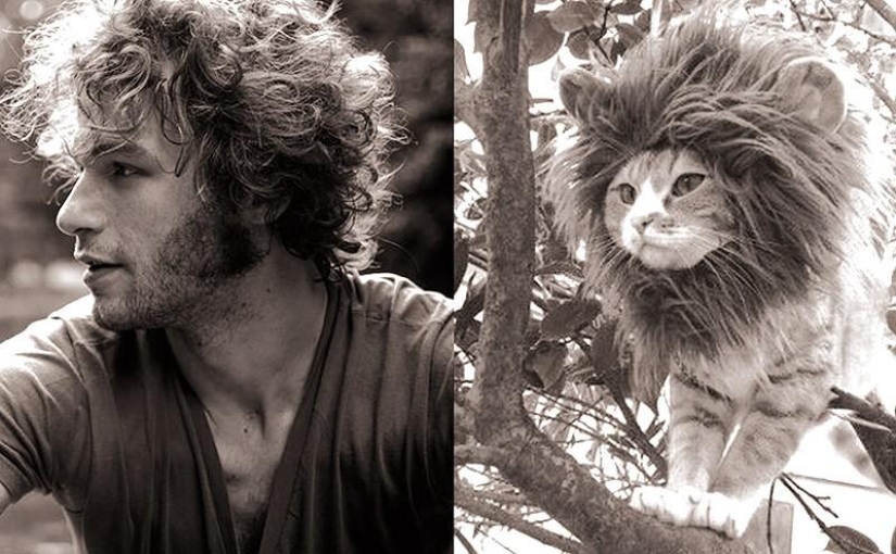 Hombres vs gatos Hombres vs gatos