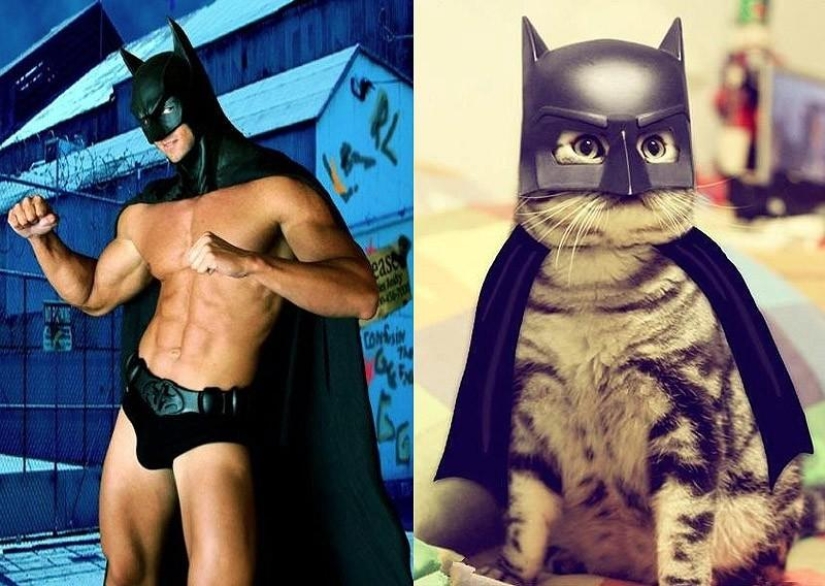 Hombres vs gatos Hombres vs gatos