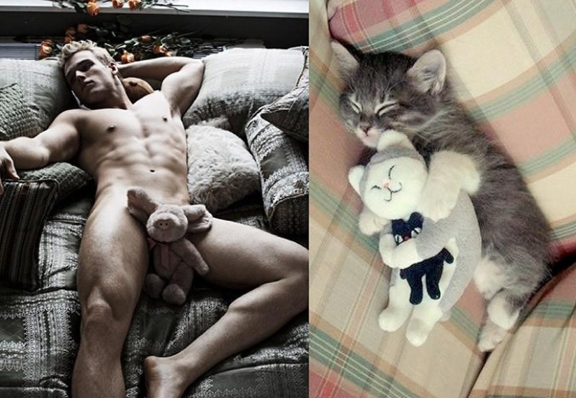 Hombres vs gatos Hombres vs gatos