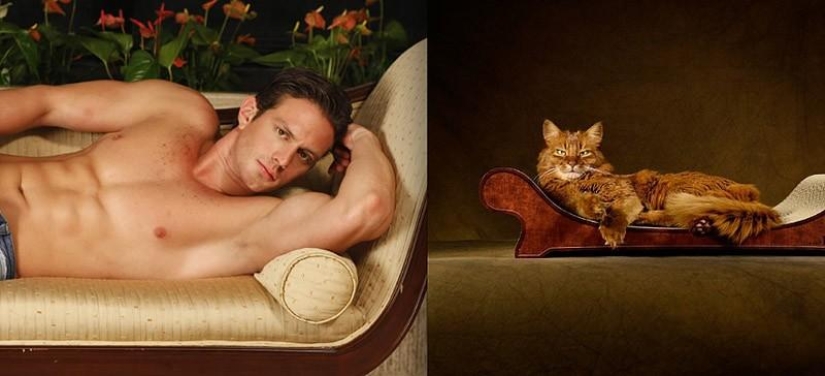 Hombres vs gatos Hombres vs gatos