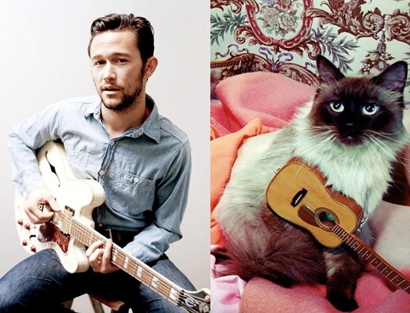 Hombres vs gatos Hombres vs gatos