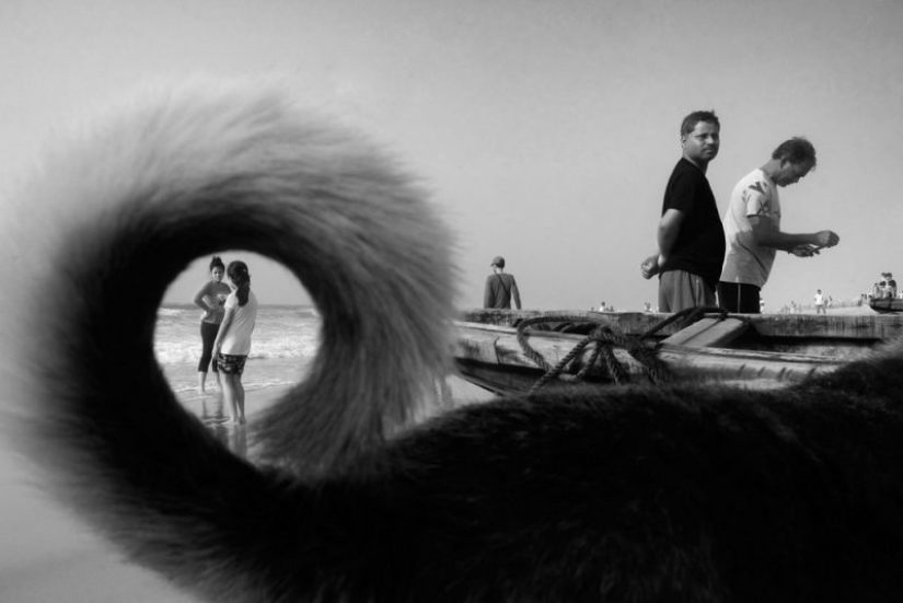 Honest and poignant: footage of an Indian photographer capturing animals Honest and poignant: footage of an Indian photographer capturing animals