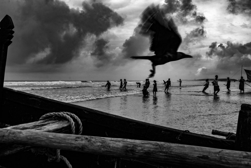 Honest and poignant: footage of an Indian photographer capturing animals Honest and poignant: footage of an Indian photographer capturing animals