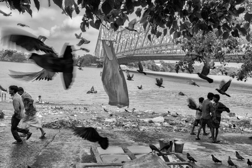 Honest and poignant: footage of an Indian photographer capturing animals Honest and poignant: footage of an Indian photographer capturing animals