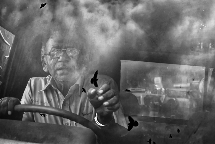 Honest and poignant: footage of an Indian photographer capturing animals Honest and poignant: footage of an Indian photographer capturing animals