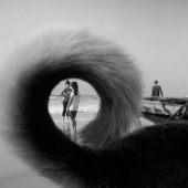 Honesto y conmovedor: imágenes de un fotógrafo indio que captura animales Honesto y conmovedor: imágenes de un fotógrafo indio que captura animales