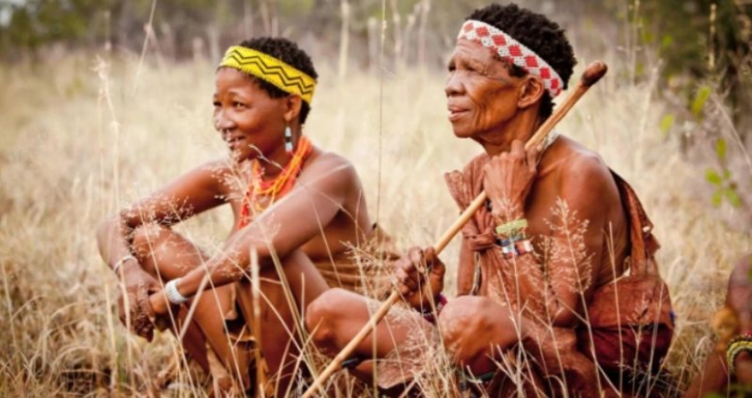 Hottentots are the most mysterious people of the Black Continent Hottentots are the most mysterious people of the Black Continent
