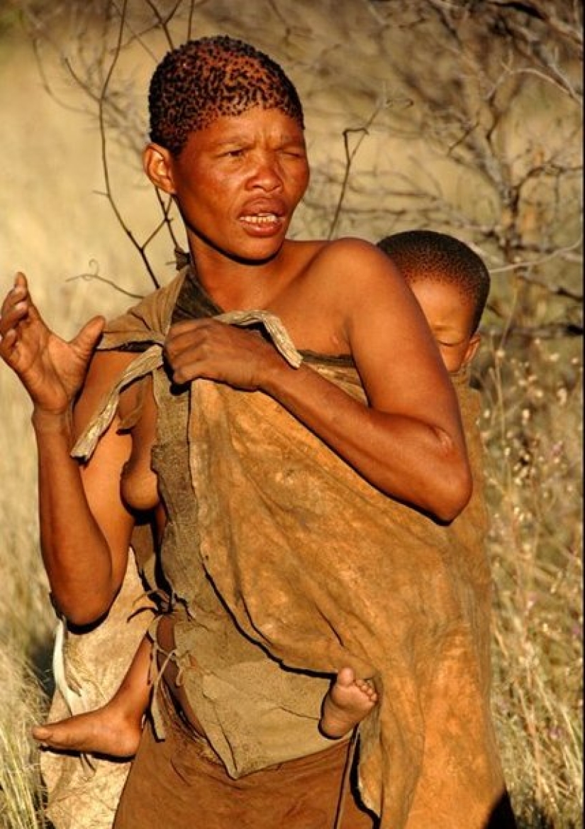 Hottentots are the most mysterious people of the Black Continent Hottentots are the most mysterious people of the Black Continent